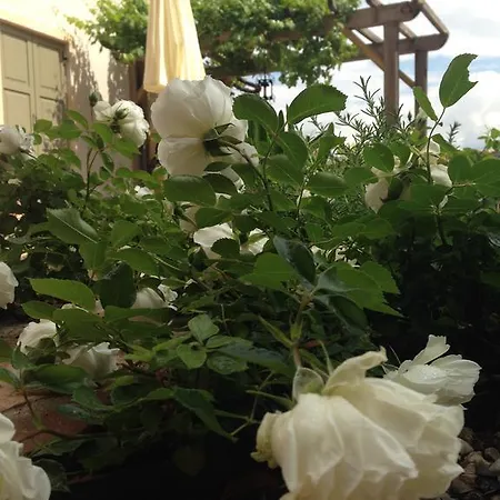 Bed & Breakfast Relais Bacio Di Luna *